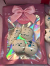 Sea shell shaped Wax Melts 