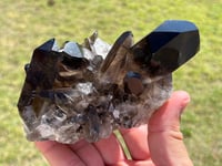 Image 5 of Smoky Quartz Crystal Points Cluster | Brazil #2970