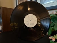 Image 4 of Caroline's Spine - Overlooked (1xLP)