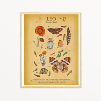 Image 1 of Vintage Leo Nature Chart PRINT