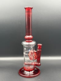 Image 3 of Ruby red mini stem line 
