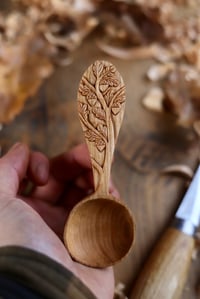 Image 8 of Oak Tree Special-Coffee Scoop 