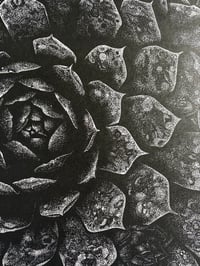 Image 2 of ‘Succulent’ Original Lino print