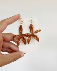 Image 1 of Grammatophyllum | aretes