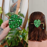 Image 1 of Horquilla Monstera Thai Constellation 