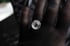 Dead Good naturally deceased Fly ring Image 10