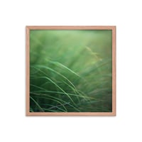 Image 5 of "Wavy Grass" Framed poster