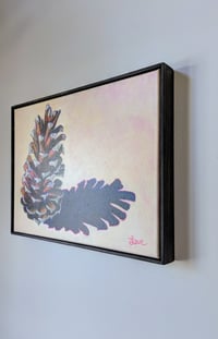 Image 3 of Loblolly Pine Cone #1