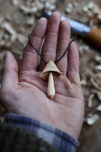 Image 4 of Birch Mushroom 
