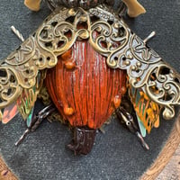 Image 2 of Vertebrae pumpkin beetle (a, 4x5 inches) 