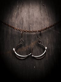 Image 4 of snake rib swoops