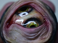 Image 13 of Custom Swappable Phone Grip for smartphones, glow in the dark double iris, reflective pupil