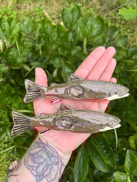 Image 1 of Brook Trout