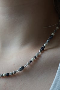 Image 2 of Dalmatian 