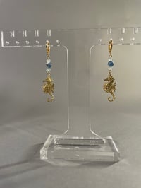 Image 3 of Seahorse 