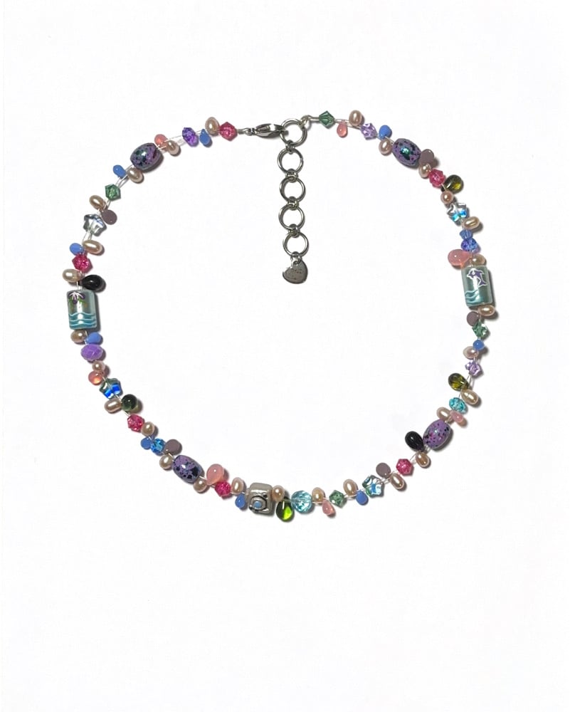 Image of dolphin party