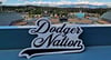 Dodger Nation decal 