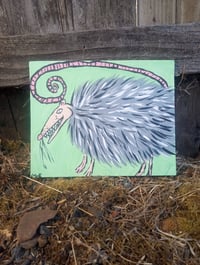 Image 1 of Possum