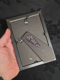 Image 4 of 1800’s biblical BATS with preserved spider web - black framed -5