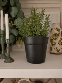 Faux Potted Rosemary