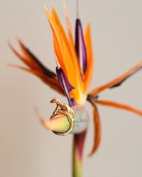 Image 4 of DOGGY DOG