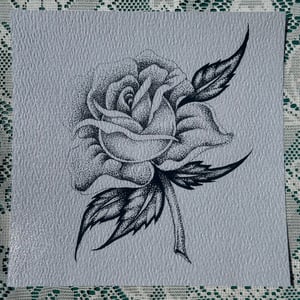 Image of Stippling Rose