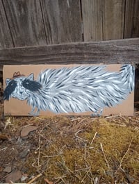 Image 7 of Long Raccoon 