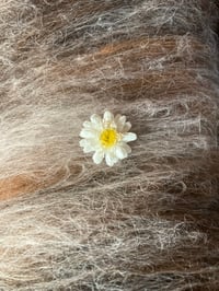 Image 14 of Weaving ourselves Wild 