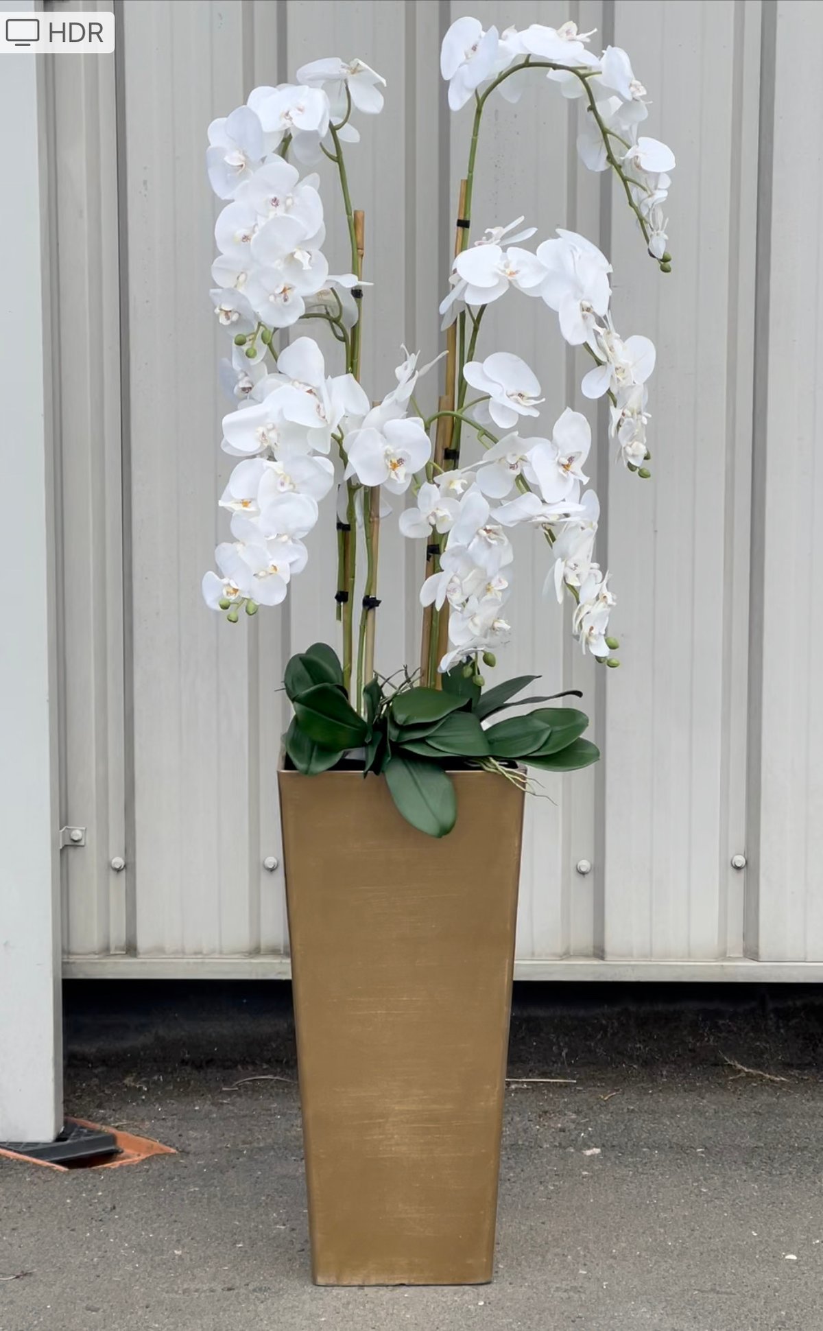 Image of NEW! Extra tall floor standing orchid 