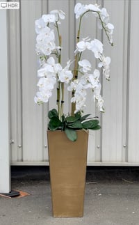 Image 2 of NEW! Extra tall floor standing orchid 