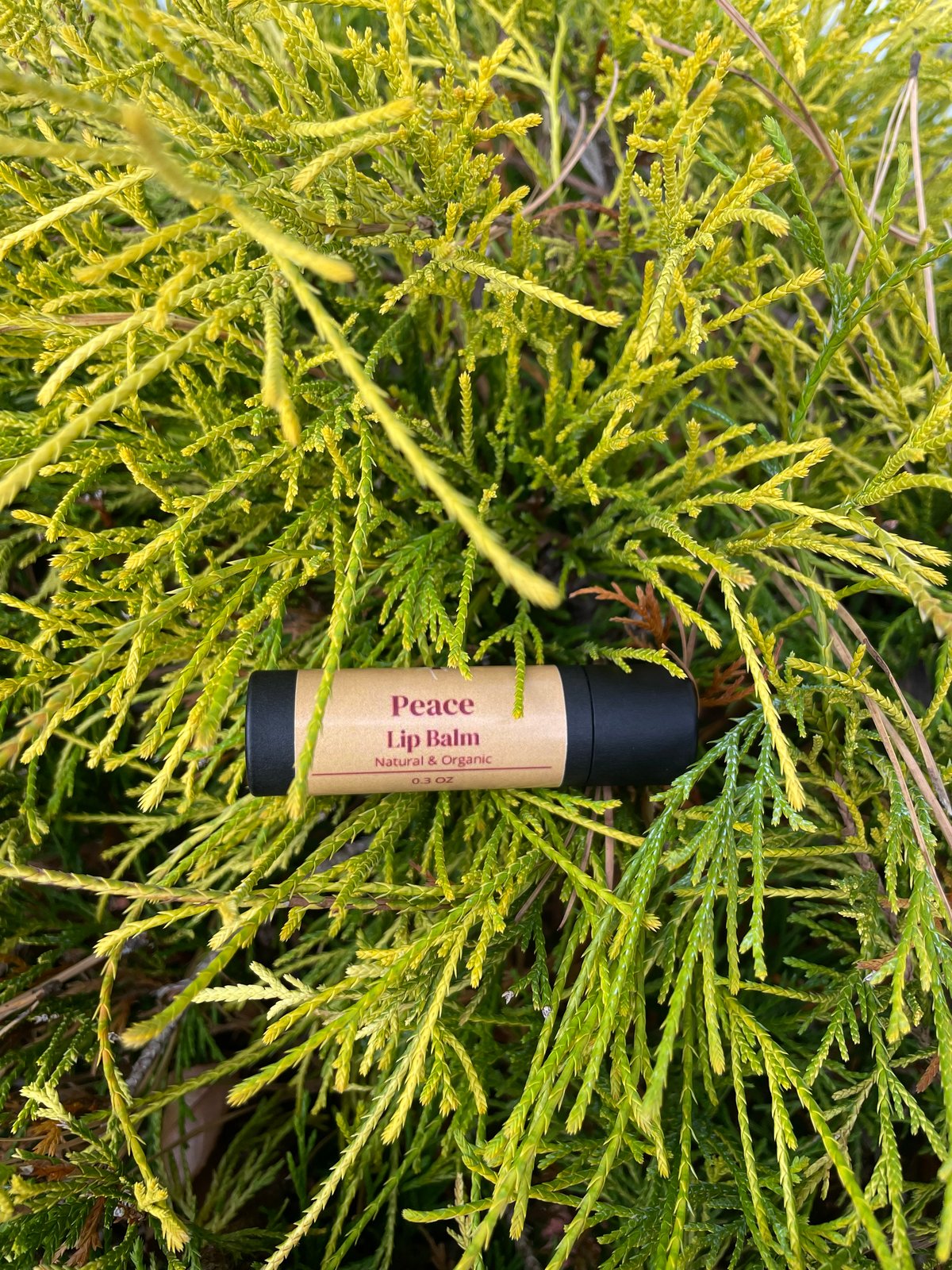 Image of Peace - Unscented Lip Balm