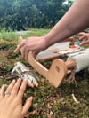 Craft Mentorship Immersion