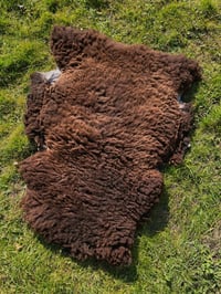 Image 1 of Harting Black Sheepskin #14