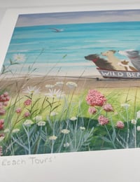 Image 4 of Wild beach tours