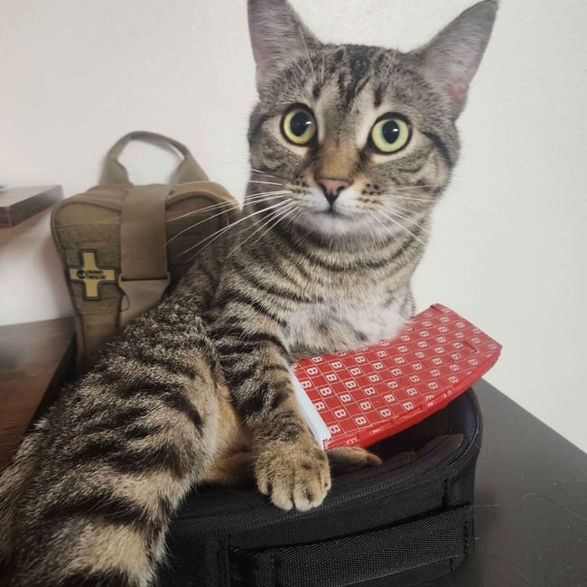 🅱️ASED magazine