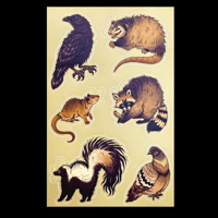Image 1 of Urban Trash Animals Sticker Sheet 4 x 6”