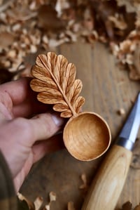 Image 6 of Oak Leaf  Scoop 