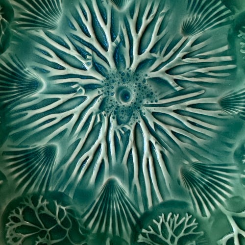 Image of Rockpool plates (F)