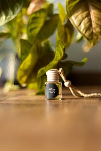 Image 4 of Luxury Car Diffuser