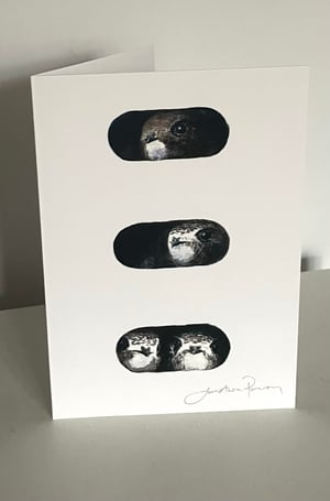 Image of Signed swifts at nest box entrance card/print