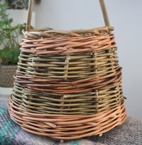 Image 4 of Petals and Pots: Berry Basket workshop 