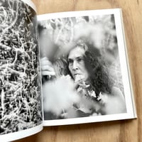 Image 3 of Paul Guilmoth - At Night Gardens Grow