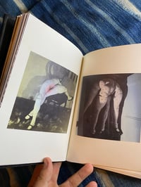 Image 4 of Hans Bellmer, The Doll, 2004