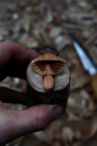 Image 5 of Apple Wood Parasol Mushroom