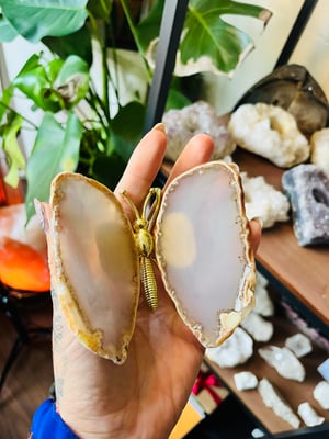 Image of Natural agate butterfly 