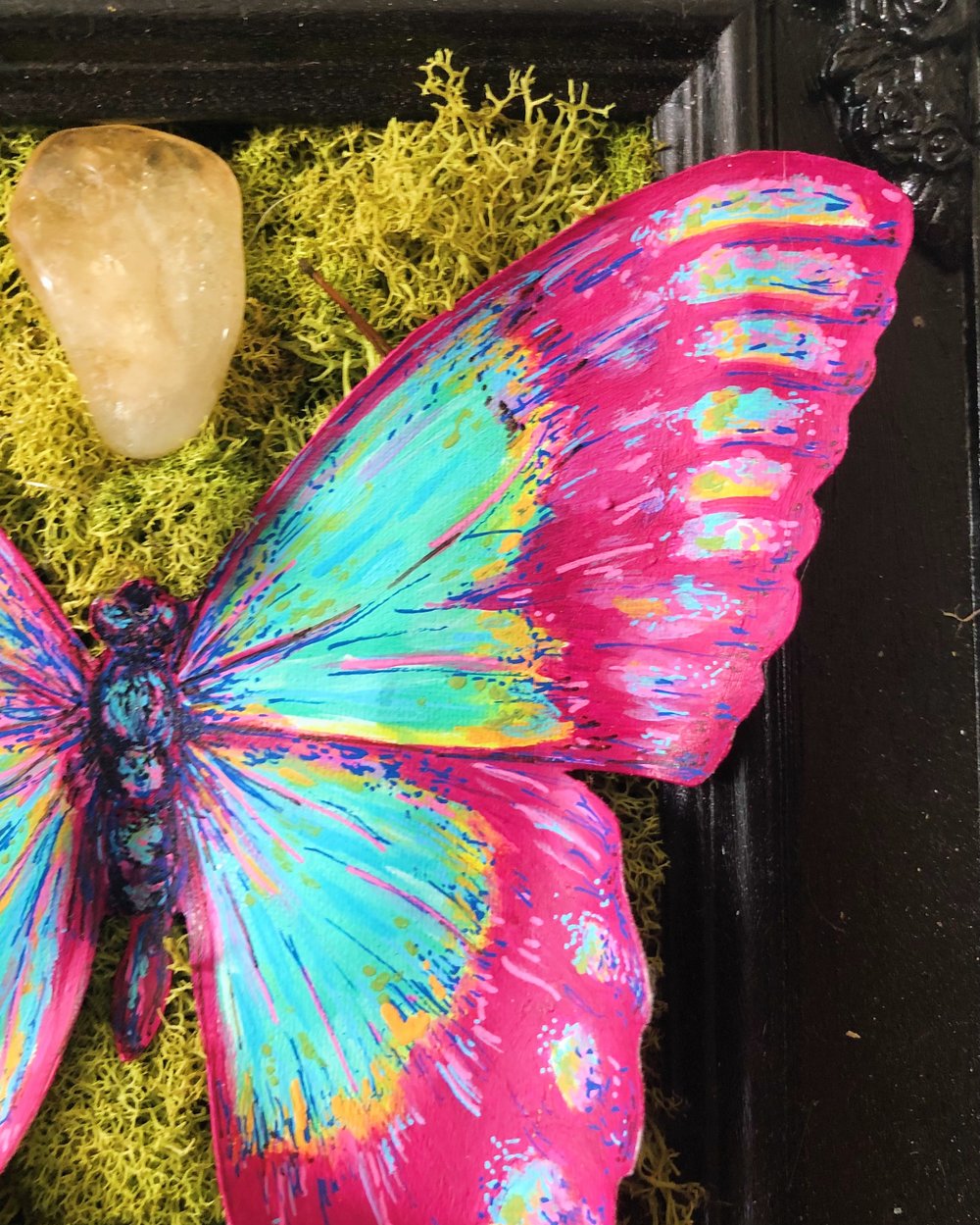 Image of Vegan Taxidermy - Butterfly