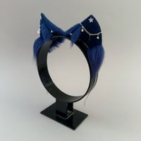 Image 2 of Starlight Navy Kitten
