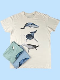 Image 3 of T-shirt BALENE