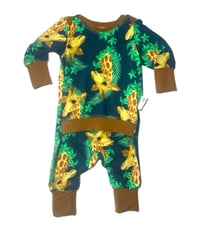 Image 1 of Pocket Pixie NEWBORN