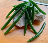 Image 1 of 5" Stick Worm - GREEN PUMPKIN 